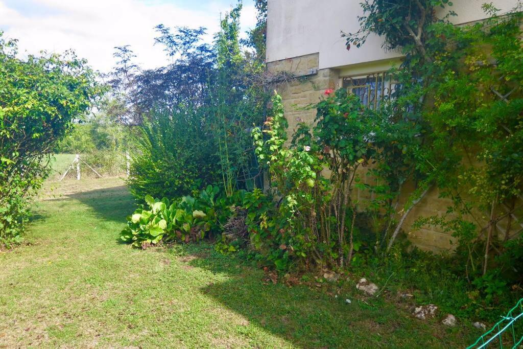 Les Petits Self Contained 2 Bedroom Apartment Molieres (Dordogne) Eksteriør billede